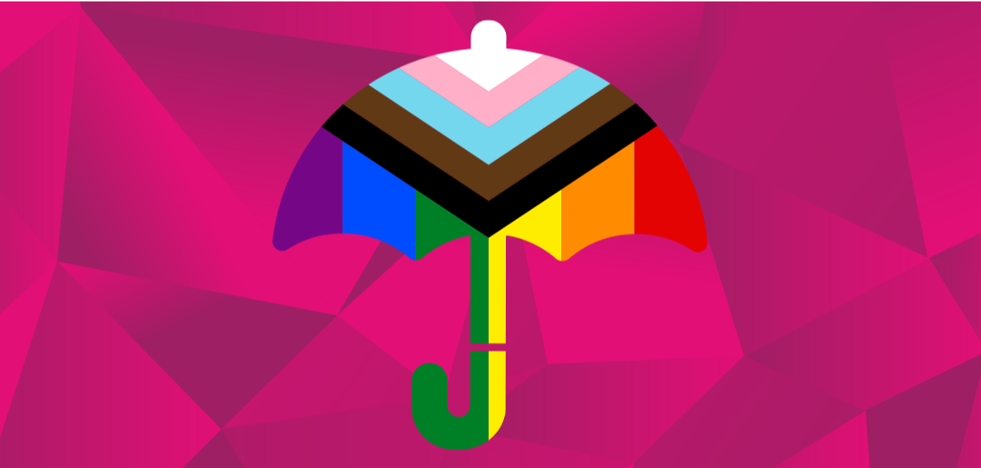 Nouveau conseil d’administration & nouveau statues: Rosa Lëtzebuerg devient une organisation parapluie queer